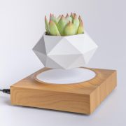 Магнітний левітаційний горщик для рослин HCNT Magnetic Levitating Pot M10-FP  Wood Grain