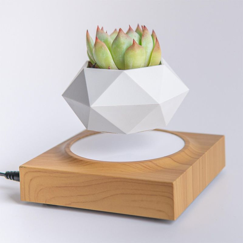 Магнітний левітаційний горщик для рослин HCNT Magnetic Levitating Pot M10-FP  Wood Grain