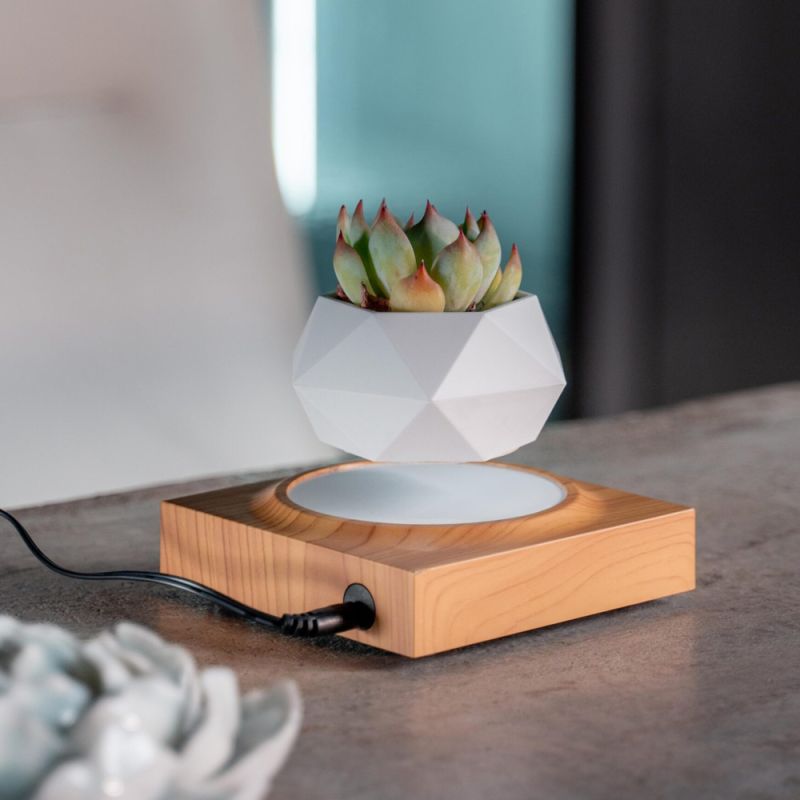 Магнітний левітаційний горщик для рослин HCNT Magnetic Levitating Pot M10-FP  Wood Grain