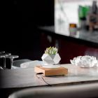 Магнітний левітаційний горщик для рослин HCNT Magnetic Levitating Pot M10-FP  Wood Grain