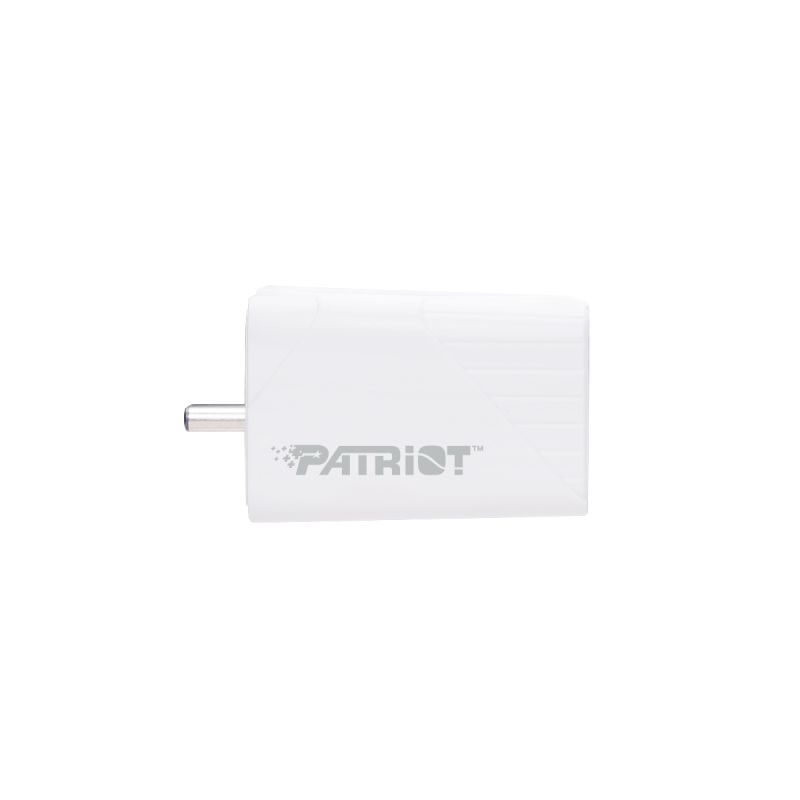 Auto Backup Patriot iLuxe Cube C 256GB USB 3.2 Gen 1, Type-C