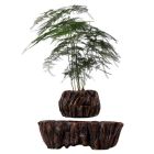 Магнітний левітаційний горщик для рослин HCNT Magnetic Levitating Pot M5B-PW Brown