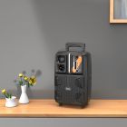 Портативна колонка HOCO BS37 Dancer outdoor wireless speaker Black