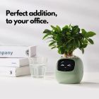 Інтерактивний розумний горщик для рослин Ivy Smart Planter Tuya AI, White