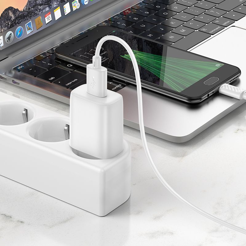 Мережевий зарядний пристрій з кабелем HOCO C134A Solid single-port charger set(Micro) White