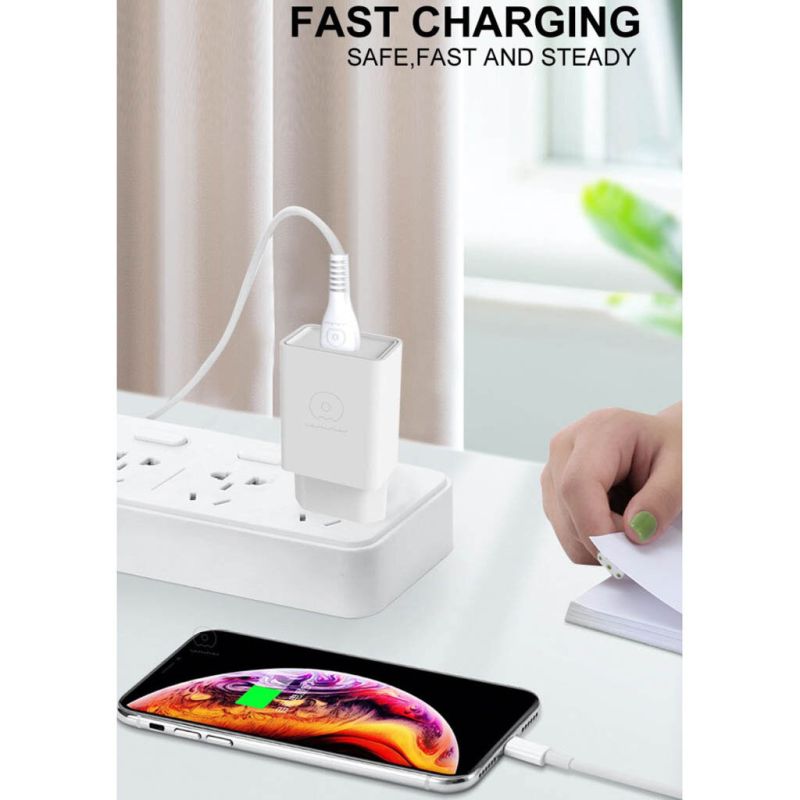 Мережевий зарядний пристрій з кабелем WUW-T82 Single USB home charger set micro