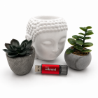 Флеш-накопичувач Wibrand USB 3.2 Gen1 Ladybug 64GB Red