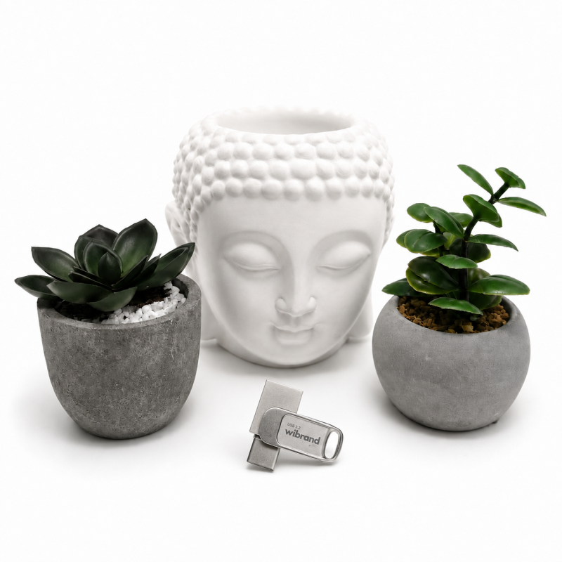 Флеш-накопичувач Wibrand USB 3.2 Gen1 Bee 128GB USB Type-A/USB Type-C Silver