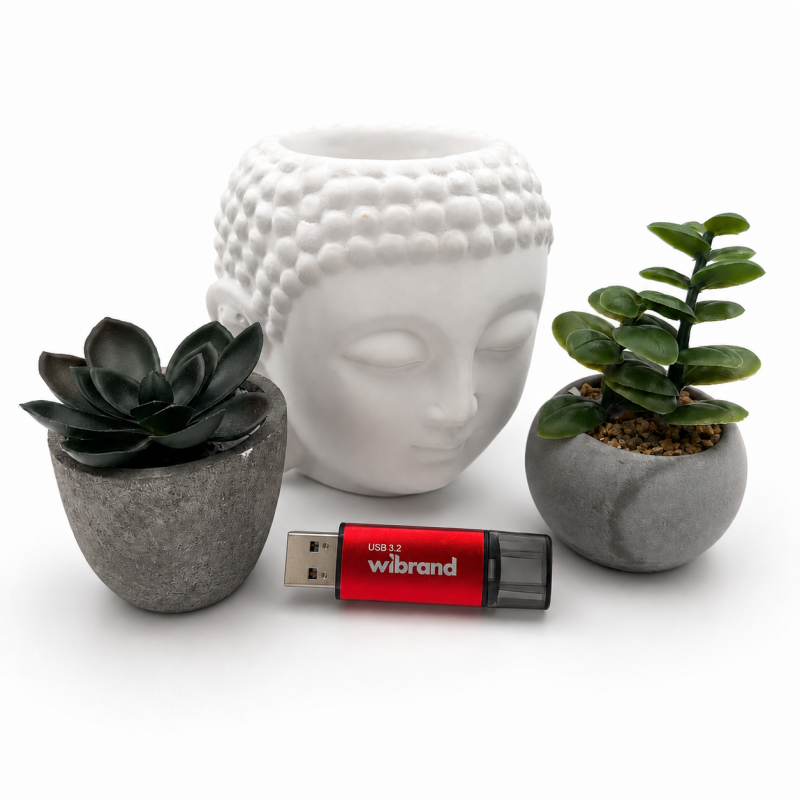 Флеш-накопичувач Wibrand USB 3.2 Gen1 Ladybug 128GB Red